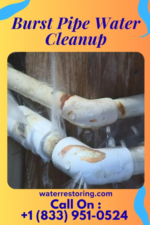 Burst Pipe Water Cleanup in Cisco, TX