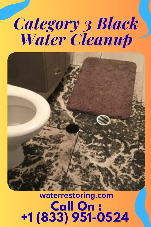 Category 3 Black Water Cleanup in Cisco, TX